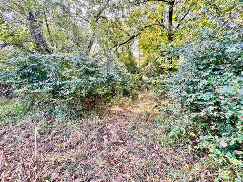 Tiny photo for 1484 N 1000 W, Medaryville, IN 47957 (MLS # 202644292)