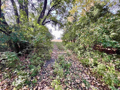 Tiny photo for 1484 N 1000 W, Medaryville, IN 47957 (MLS # 202644292)