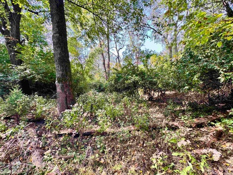 Tiny photo for 1484 N 1000 W, Medaryville, IN 47957 (MLS # 202644292)