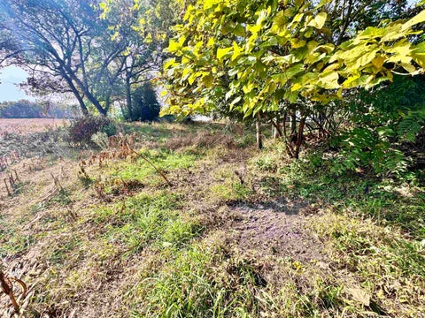 Tiny photo for 1484 N 1000 W, Medaryville, IN 47957 (MLS # 202644292)