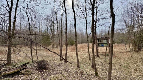 Tiny photo for 4865 E Co Rd 800 N, Orleans, IN 47452 (MLS # 202606694)