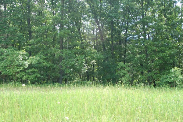 21654 MOYER CT # 69, SOUTH BEND, IN 46628 - Image 5867d2a9d4c1c73e7826fa949eee03aa/73477325