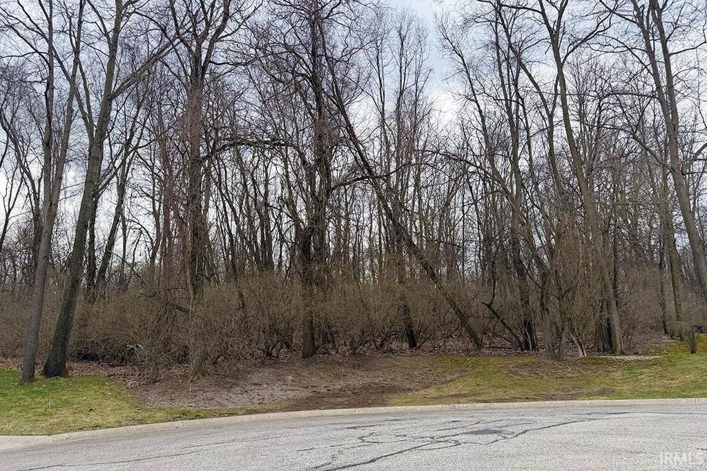 Photo of 55902 Little Creek Lane #70, Middlebury, IN 46540 (MLS # 202609839)