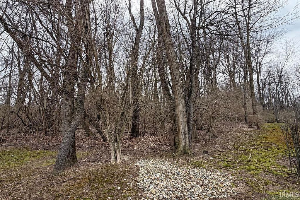 Photo of 55902 Little Creek Lane #70, Middlebury, IN 46540 (MLS # 202609839)