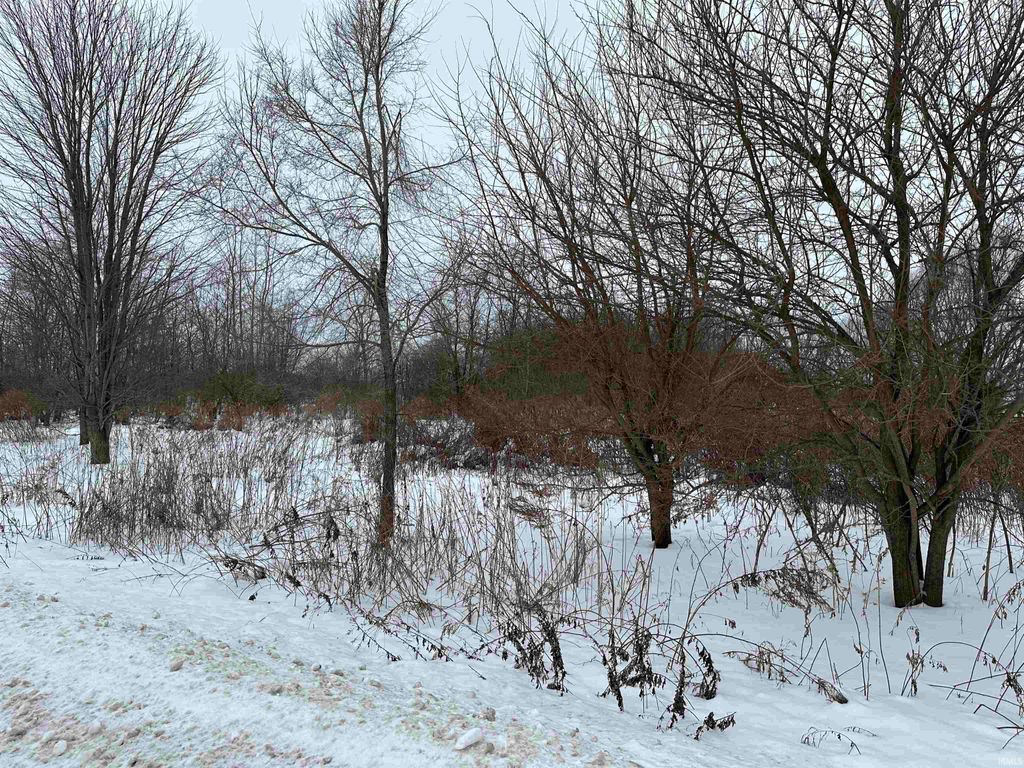 Photo of 0 US 20 Highway, New Carlisle, IN 46552 (MLS # 202603520)