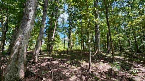 Tiny photo for Co Rd 675 S, French Lick, IN 47432 (MLS # 202635091)