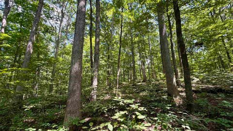 Tiny photo for Co Rd 675 S, French Lick, IN 47432 (MLS # 202635091)