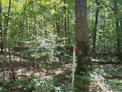 Tiny photo for Co Rd 675 S, French Lick, IN 47432 (MLS # 202635091)