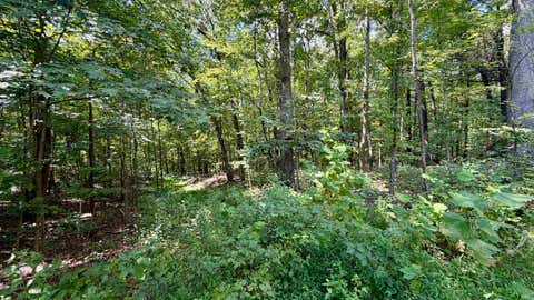 Tiny photo for Co Rd 675 S, French Lick, IN 47432 (MLS # 202635091)