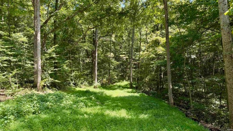 Tiny photo for Co Rd 675 S, French Lick, IN 47432 (MLS # 202635091)