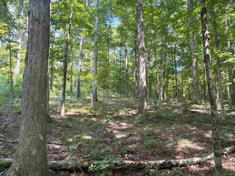Tiny photo for Co Rd 675 S, French Lick, IN 47432 (MLS # 202635091)