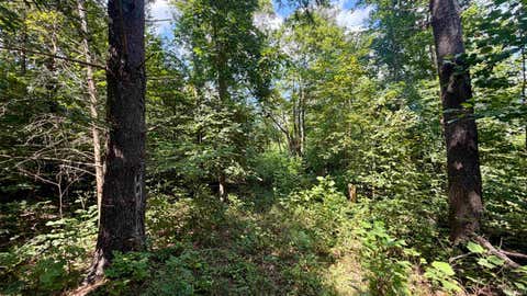 Tiny photo for Co Rd 675 S, French Lick, IN 47432 (MLS # 202635091)