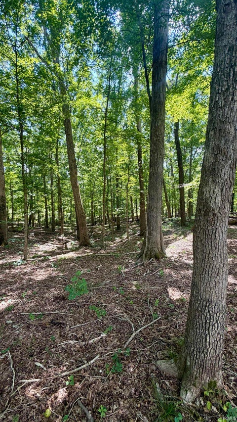 Tiny photo for Co Rd 675 S, French Lick, IN 47432 (MLS # 202635091)