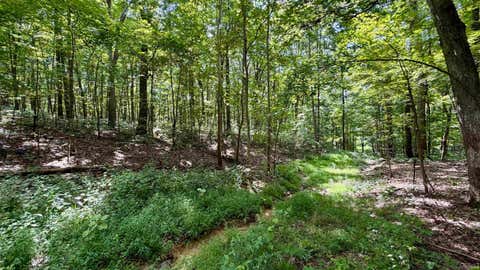Tiny photo for Co Rd 675 S, French Lick, IN 47432 (MLS # 202635091)