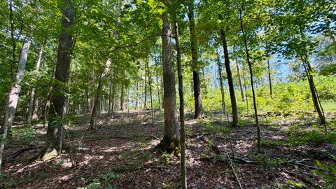 Tiny photo for Co Rd 675 S, French Lick, IN 47432 (MLS # 202635091)