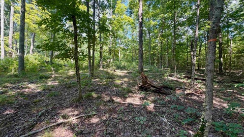 Tiny photo for Co Rd 675 S, French Lick, IN 47432 (MLS # 202635091)