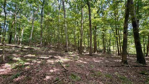 Tiny photo for Co Rd 675 S, French Lick, IN 47432 (MLS # 202635091)