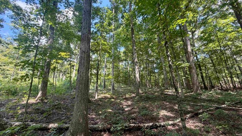 Tiny photo for Co Rd 675 S, French Lick, IN 47432 (MLS # 202635091)