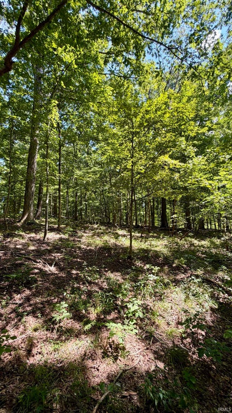 Tiny photo for Co Rd 675 S, French Lick, IN 47432 (MLS # 202635091)
