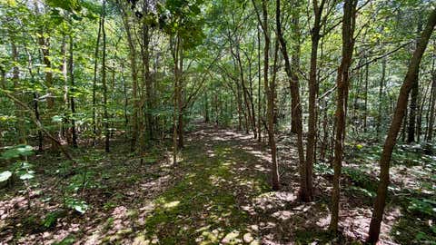 Tiny photo for Co Rd 675 S, French Lick, IN 47432 (MLS # 202635091)