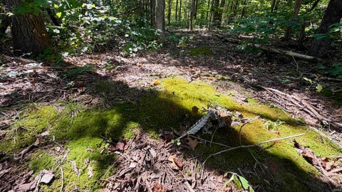 Tiny photo for Co Rd 675 S, French Lick, IN 47432 (MLS # 202635091)