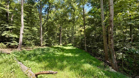Tiny photo for Co Rd 675 S, French Lick, IN 47432 (MLS # 202635091)
