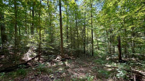 Tiny photo for Co Rd 675 S, French Lick, IN 47432 (MLS # 202635091)