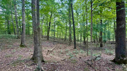 Tiny photo for Co Rd 675 S, French Lick, IN 47432 (MLS # 202635091)