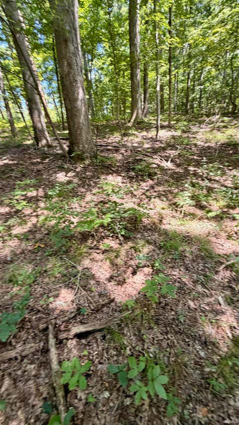 Tiny photo for Co Rd 675 S, French Lick, IN 47432 (MLS # 202635091)