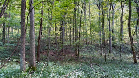 Tiny photo for Co Rd 675 S, French Lick, IN 47432 (MLS # 202635091)