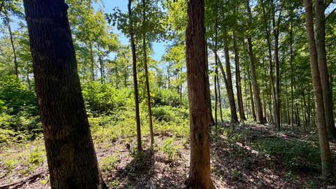 Tiny photo for Co Rd 675 S, French Lick, IN 47432 (MLS # 202635091)