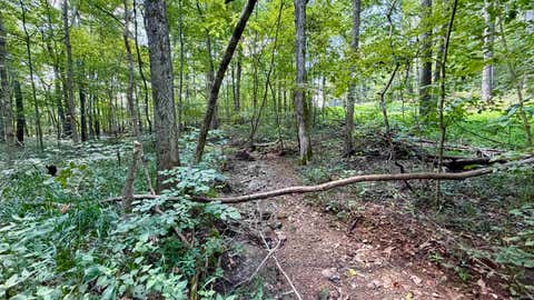Tiny photo for Co Rd 675 S, French Lick, IN 47432 (MLS # 202635091)