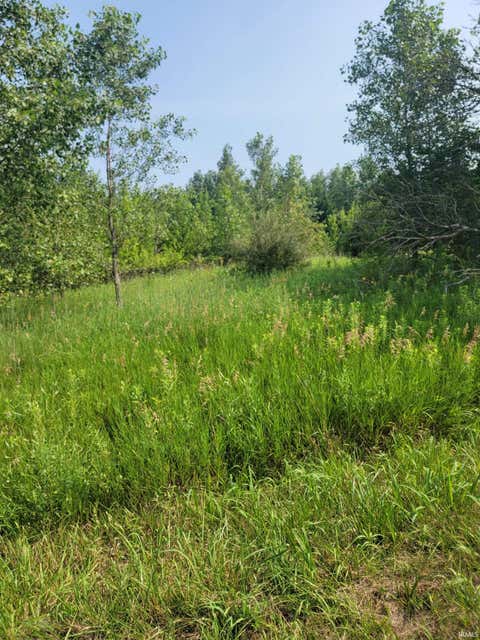 Tiny photo for 6871 S 1100 W, Francesville, IN 47946 (MLS # 202631905)