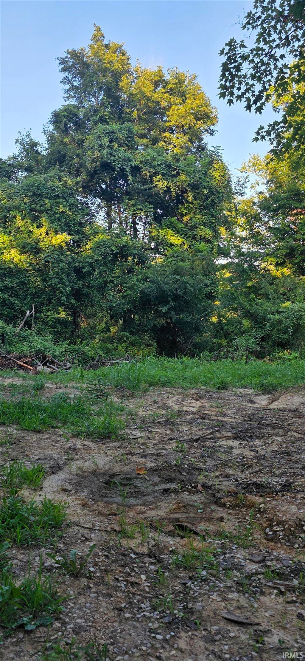 Photo of N State Road 550 Road, Bruceville, IN 47516 (MLS # 202632107)