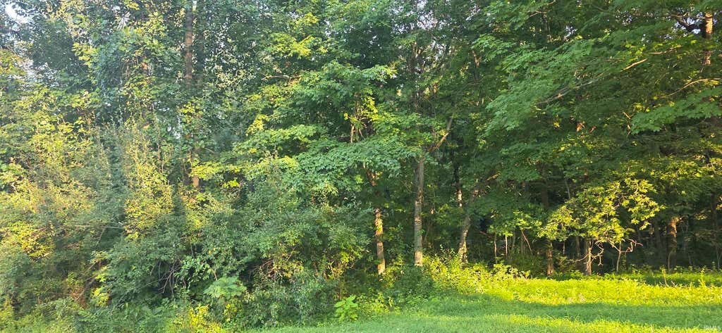 Photo of N State Road 550 Road, Bruceville, IN 47516 (MLS # 202632107)