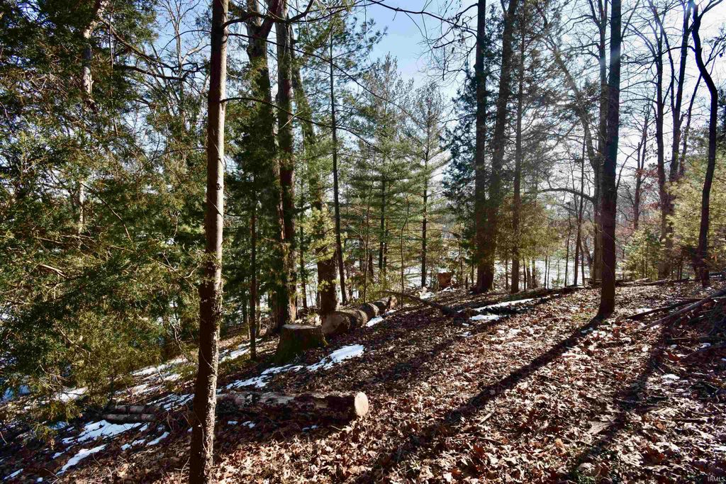 Photo of 18-19 Halibut Drive, Nineveh, IN 46164 (MLS # 202604743)