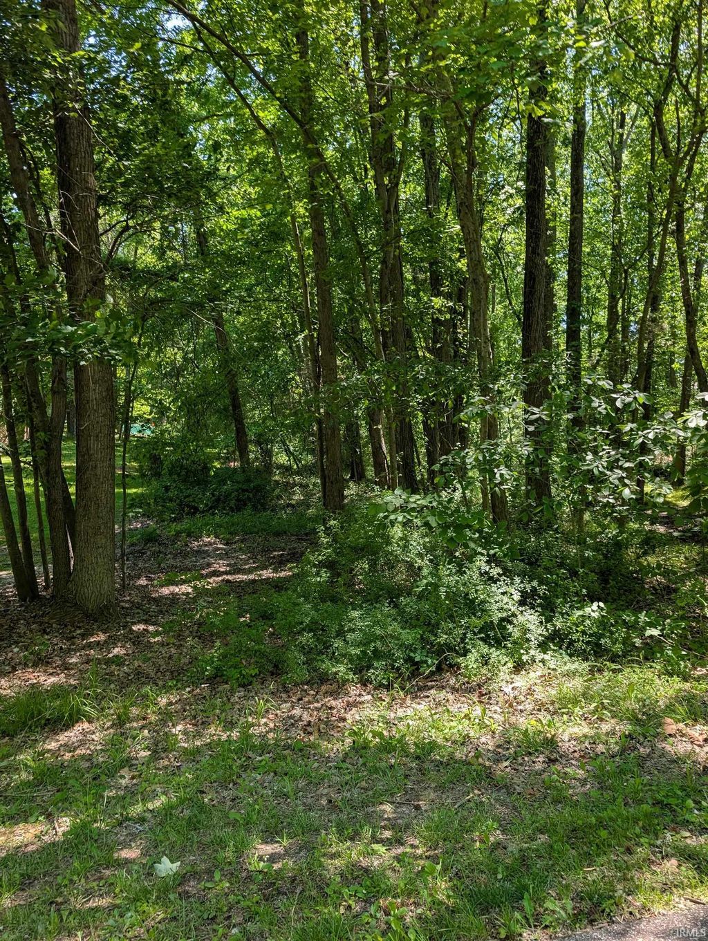 Photo of 0 Pine Tree Lane, Santa Claus, IN 47579 (MLS # 202617603)
