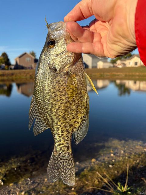 Tiny photo for 908 Zartman Road, Kokomo, IN 46902 (MLS # 202544219)