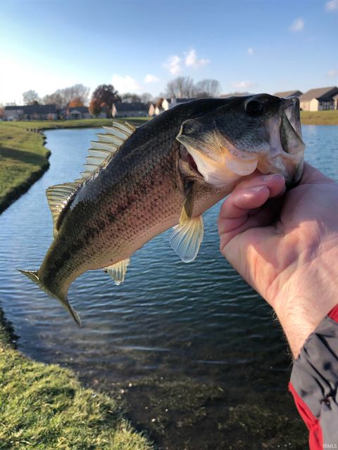 Tiny photo for 908 Zartman Road, Kokomo, IN 46902 (MLS # 202544219)