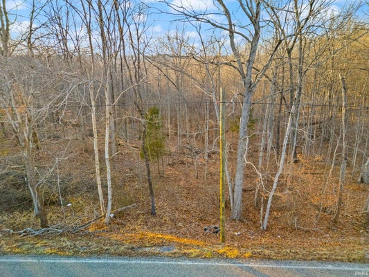 1545 S STATE ROAD 237, ENGLISH, IN 47118 - Image 61e04251a04c3cebab35fd8ecbf9d92e/945222469