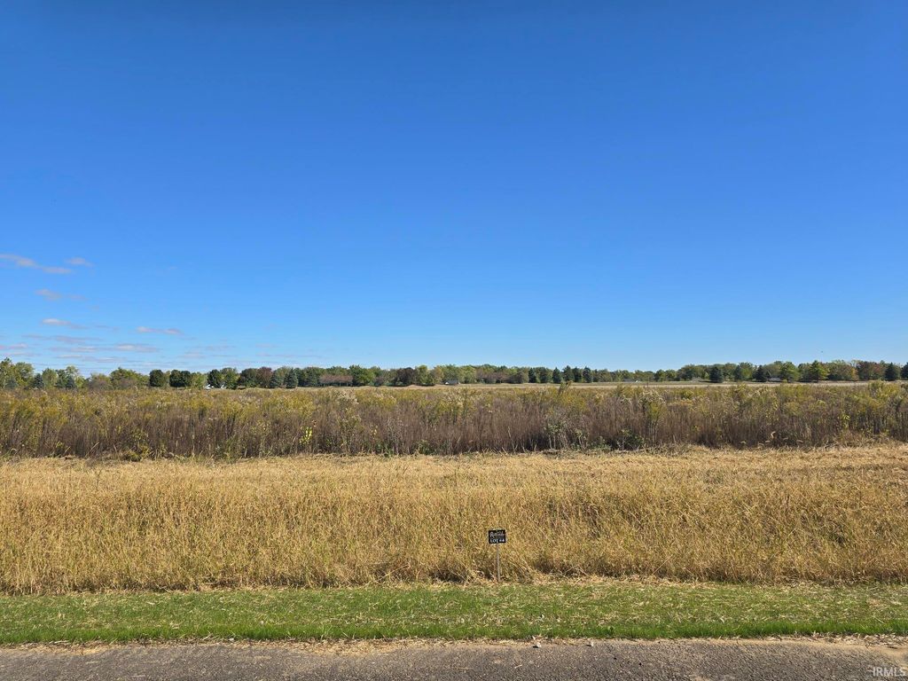 Photo of Lot 4 County Road 17 Drive, Auburn, IN 46706 (MLS # 202541339)