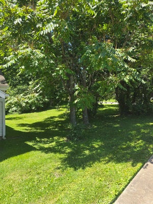 1103B W 11TH ST, BLOOMINGTON, IN 47404 - Image 67d8f1eb7d4bb8e5b4e7decbc6aa82d8/3189716265