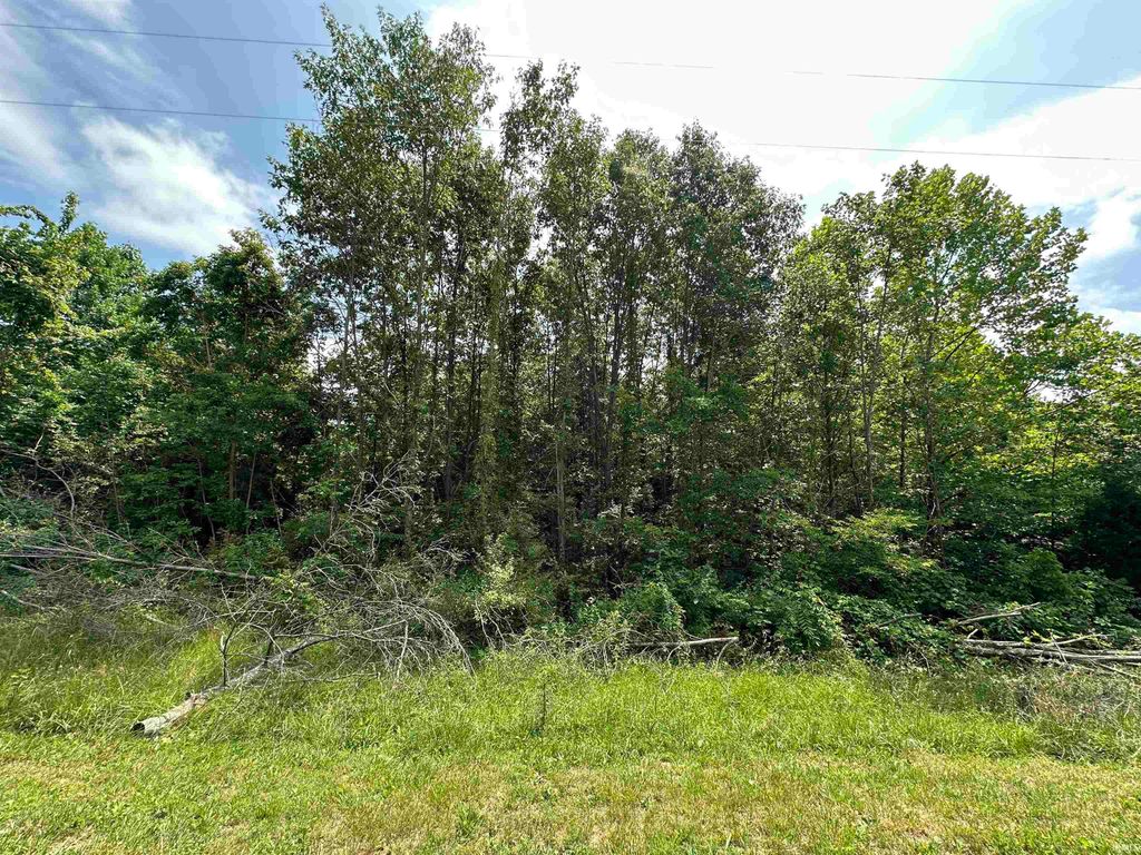 Photo of TBD S County Road 500 W, English, IN 47118 (MLS # 202546481)