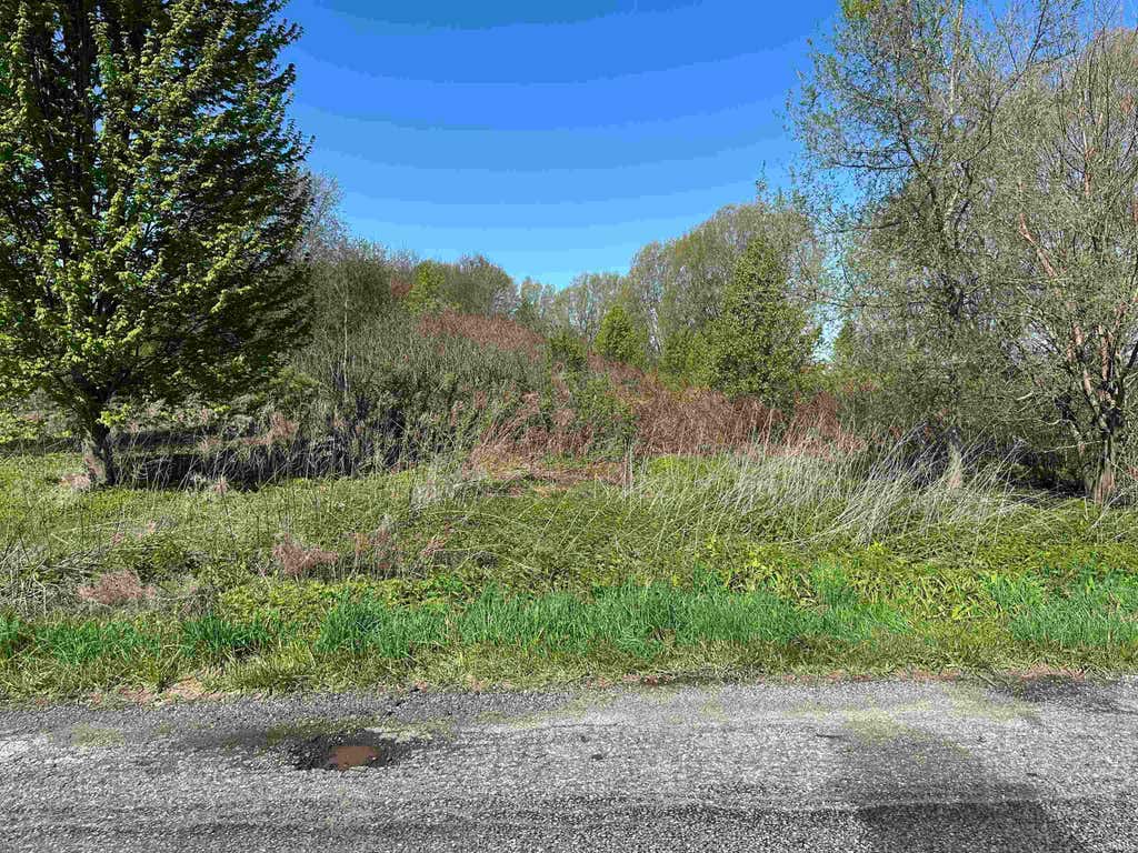 Photo of 0 US 20 Highway, New Carlisle, IN 46552 (MLS # 202634759)