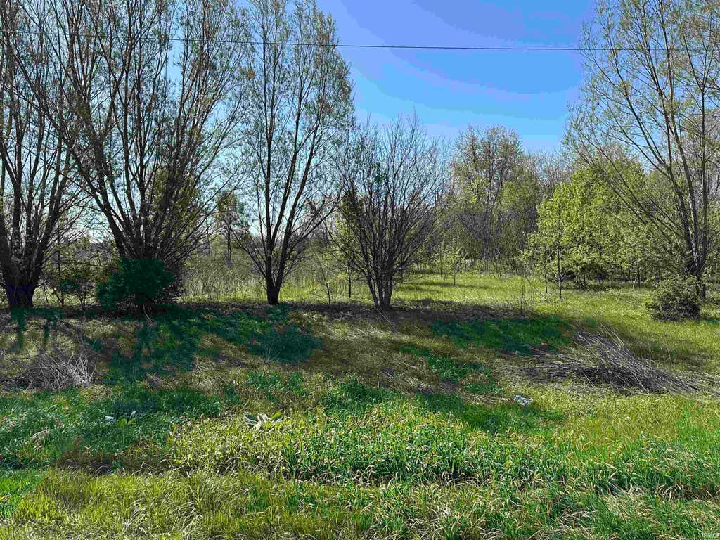 Photo of 0 US 20 Highway, New Carlisle, IN 46552 (MLS # 202634759)