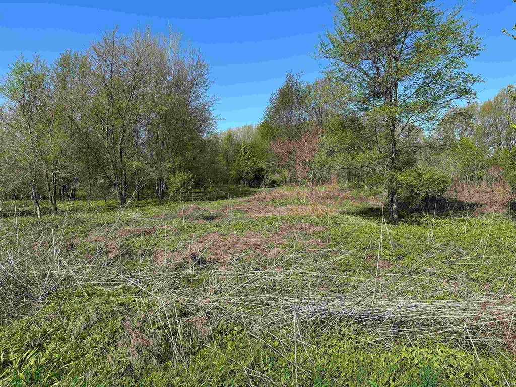 Photo of 0 US 20 Highway, New Carlisle, IN 46552 (MLS # 202634759)