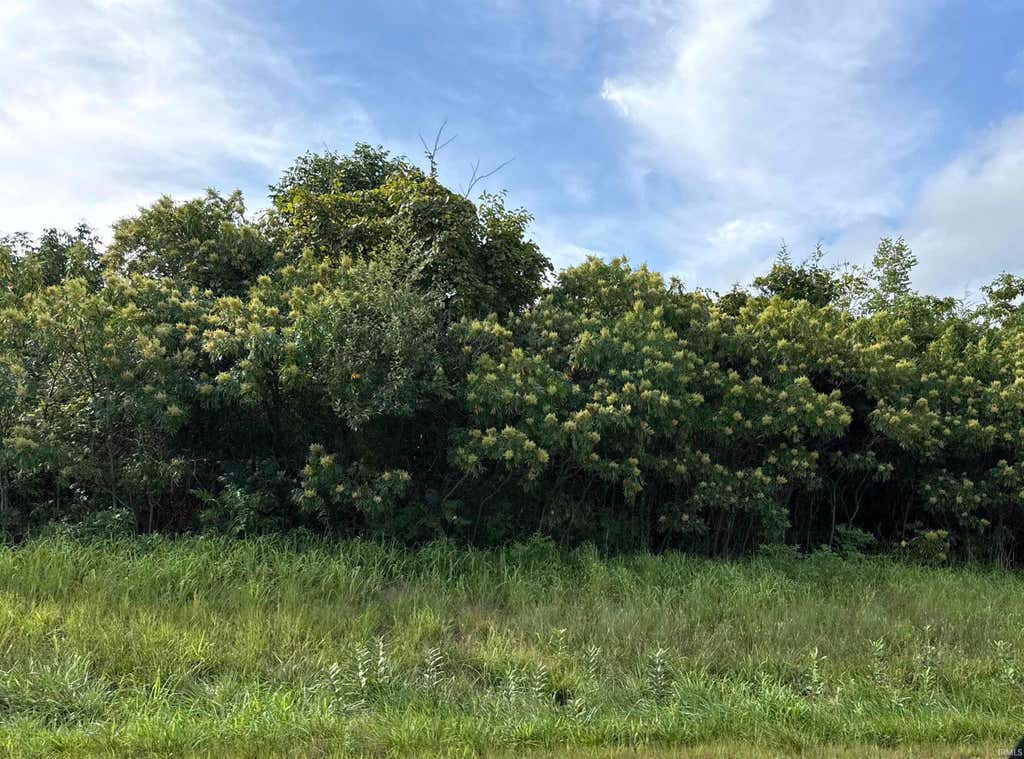 Photo of 3399 S Bunger Road, Bloomington, IN 47403 (MLS # 202633714)