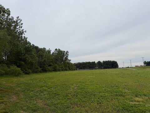 Tiny photo for 0 N State Rd 9, Alexandria, IN 46001 (MLS # 202637879)