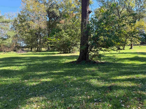 Tiny photo for TBD Pine and National Street, Medaryville, IN 47957 (MLS # 202643258)
