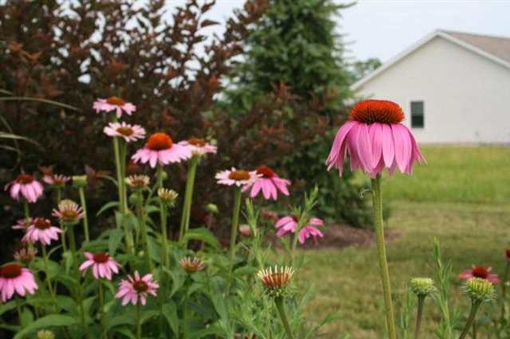 Photo of 2271 Highlander Drive, Warsaw, IN 46580 (MLS # 202602813)